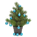 Christmas Potted Plant