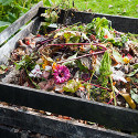 Compost Bin