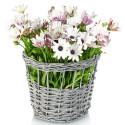 flower-planter