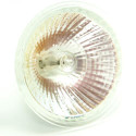 halogen