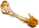 Chicken Bone