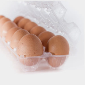 egg-carton-plastic