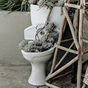 toilet-planter-125x125